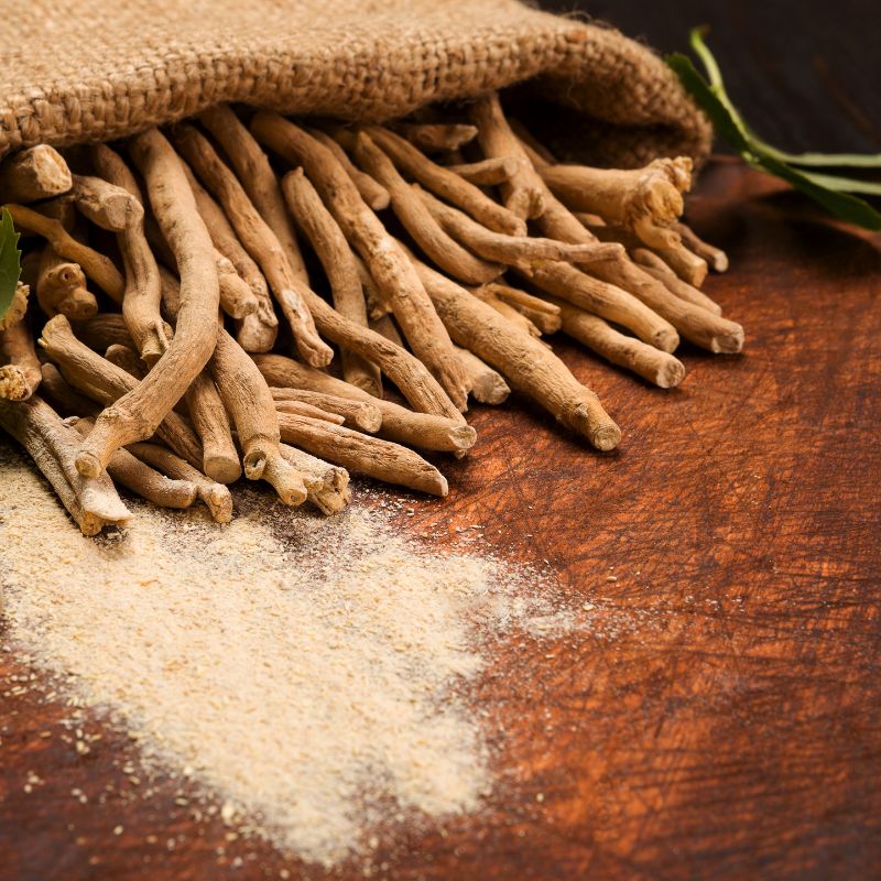 Chaga Mushroom helps slow the aging process, fight inflammation and helps boost brain power.