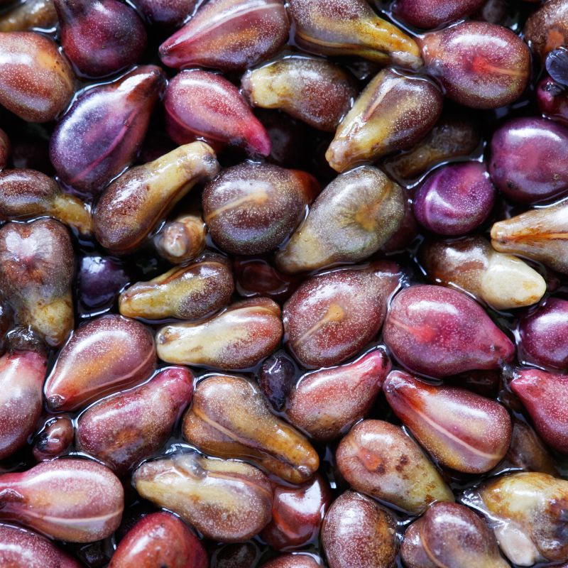 Green Coffee supports metabolism, promotes satiety and helps you live healthier.