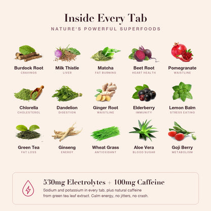 The fifteen superfoods inside every Superfood Tab, each named with the benefit its research supports, plus 530mg of electrolytes and 100mg of natural caffeine