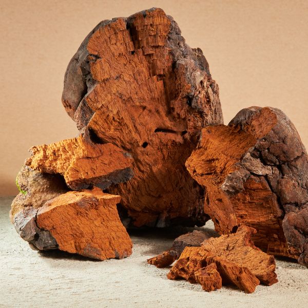 Chaga Mushroom helps slow the aging process, fight inflammation and helps boost brain power.