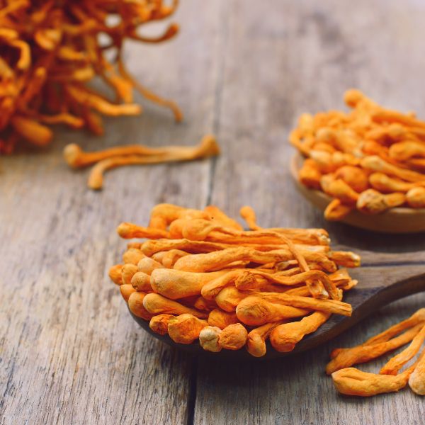 Cordyceps help improve brain and memory function while slowing signs of aging.