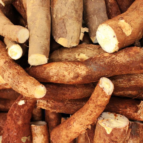 Maca Root helps boost brain power, enhance mood and increase energy levels.