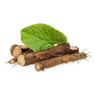 <p><strong>Burdock Root</strong> </p>