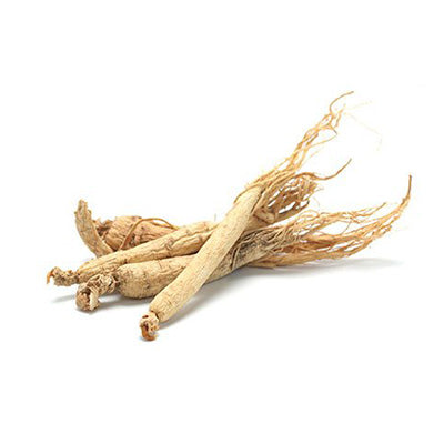 <p>Ginseng</p>