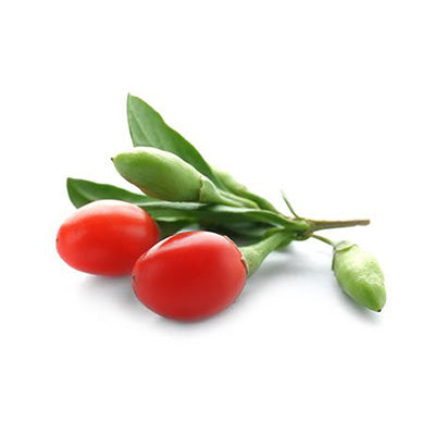 <p>Goji Berry</p>