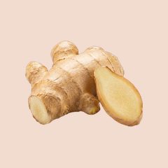 Ginger