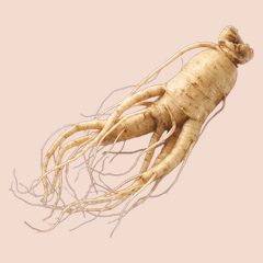 Ginseng