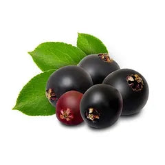 Elderberry